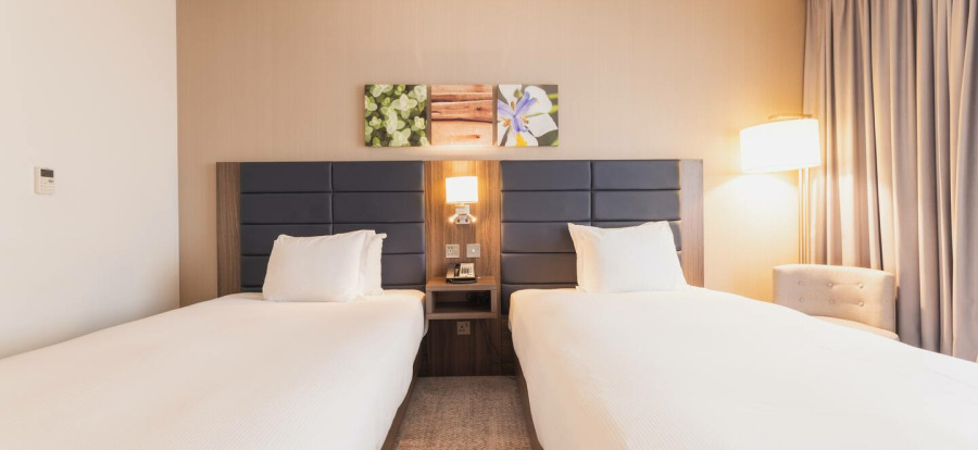 Hilton Garden Inn Birmingham Airport Twin Room